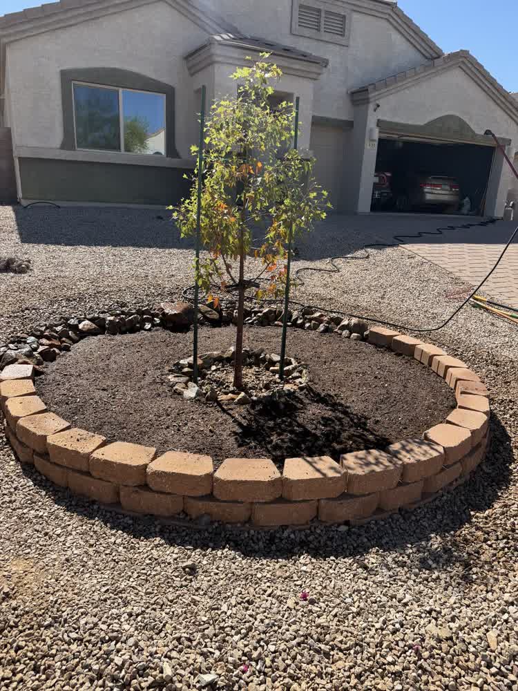 Tree planting in a custom block planter ring in a Tucson front yard